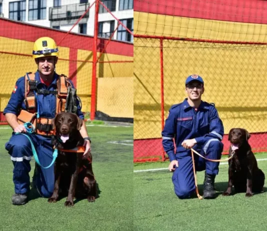 Buscas no RS são reforçadas com binômios dos Bombeiros catarinenses