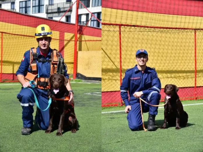 Buscas no RS são reforçadas com binômios dos Bombeiros catarinenses