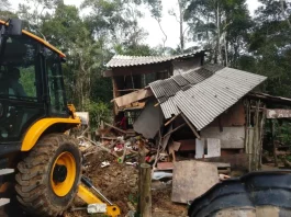 Casas irregulares em área de mata são demolidas em São José Casas irregulares em área de mata são demolidas em São José