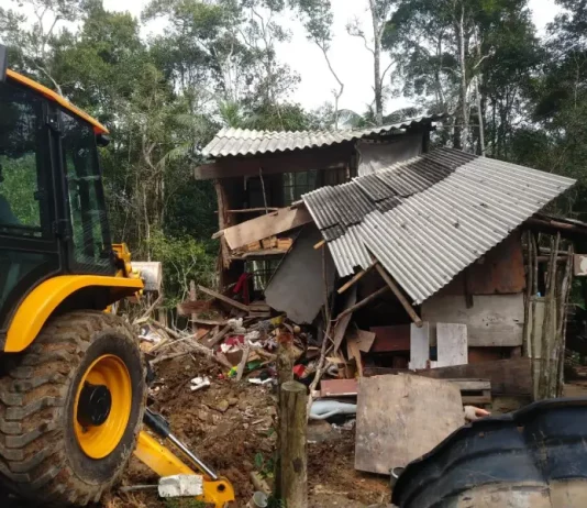 Casas irregulares em área de mata são demolidas em São José Casas irregulares em área de mata são demolidas em São José