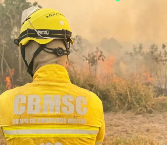 Governo de SC envia nova equipe de bombeiros para combater incêndios no Mato Grosso