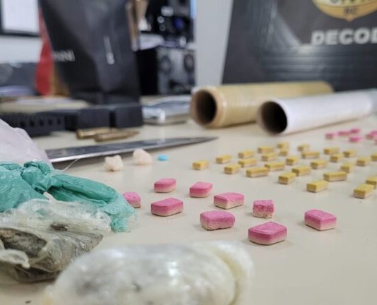 Polícia Civil realiza operação contra tráfico de drogas em Florianópolis e Palhoça