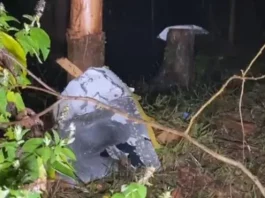 Aeronave cai em região de mata fechada em Santa Branca, SP