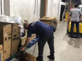 Receita Federal e parceiros apreendem grande quantidade de drogas nos Correios de São José/SC