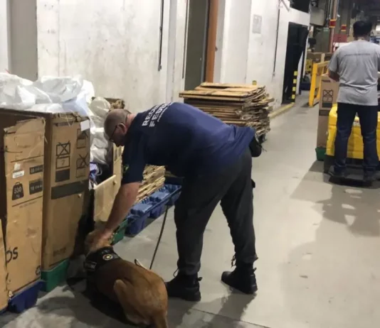 Receita Federal e parceiros apreendem grande quantidade de drogas nos Correios de São José/SC