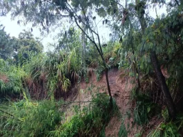 Prefeitura de Florianópolis abre abrigos para apoiar vítimas das chuvas