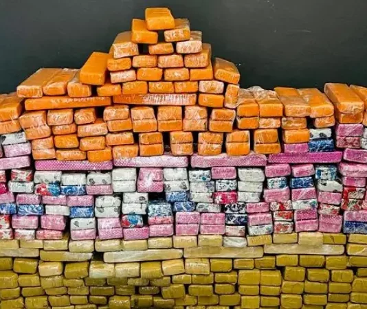 Homem é detido com mais de 360 kg de maconha em Florianópolis