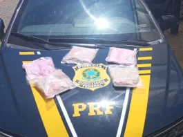 Ecstasy com destino a Florianópolis é interceptado pela PRF