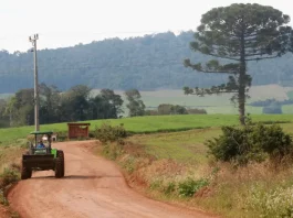 Governador institui Abril Amarelo contra invasões em propriedades privadas