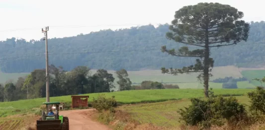 Governador institui Abril Amarelo contra invasões em propriedades privadas