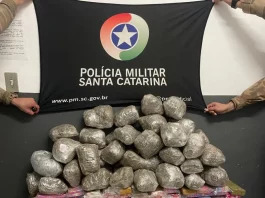 Homem é preso com maconha, skank e arma em Florianópolis