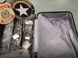 Receita Federal apreende drogas no aeroporto de Florianópolis