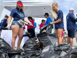 Dia Mundial da Água: Prefeitura e Casan promovem dia de limpeza da Beira-Mar de São José