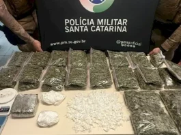 Operação na Barra da Lagoa apreende drogas