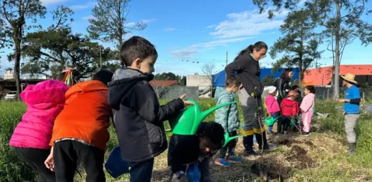 Projeto de agroecologia beneficia 350 crianças em São José