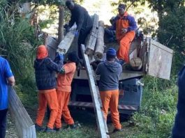 Prefeitura de São José remove material de construção em área de preservação no Bairro Serraria