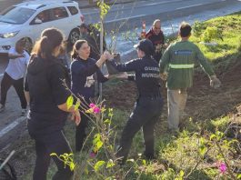 Viaduto entre Florianópolis e São José recebe flores, limpeza e câmeras de segurança