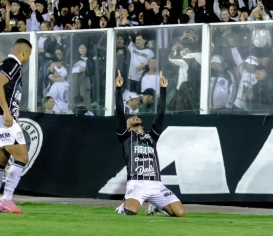 Jogadores do Figueirense comemoram juntos no campo após vitória que garantiu a permanência na série C