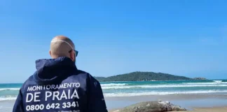 Homem veste bermuda azul e jaqueta azul com a frase "Monitoramento de Praia" nas costas. Ele caminha pela areia da Praia do Campeche em direção ao corpo de um filhote de baleia-franca, deitado morto próximo à faixa d’água. O mar aparece ao fundo, com ondas suaves.