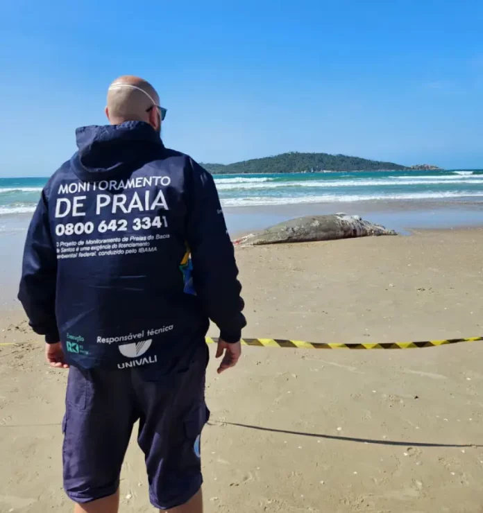 Homem veste bermuda azul e jaqueta azul com a frase 