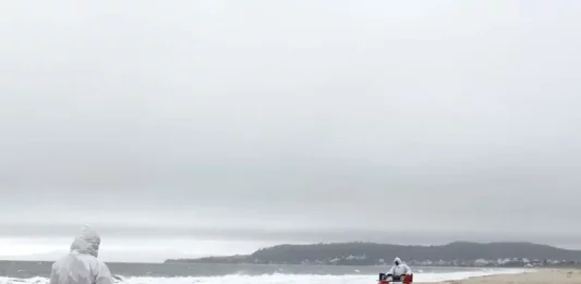Na areia da praia de Jurerê, um homem veste uma capa branca com capuz e observa de perto vários pinguins mortos próximos à beira do mar. Ao fundo, outra pessoa, também com capa branca, se aproxima pilotando um quadriciclo sobre a areia.