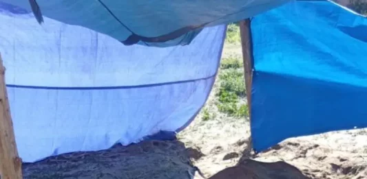 Cavalo debilitado deitado no chão, sob uma barraca improvisada com lona azul, em evidente estado de abandono.