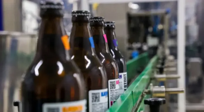 Linha de engarrafamento em cervejaria moderna, ilustrando o crescimento e a liderança de Santa Catarina na abertura de novas cervejarias.