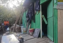 Casa de madeira verde sendo demolida