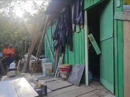 Casa de madeira verde sendo demolida