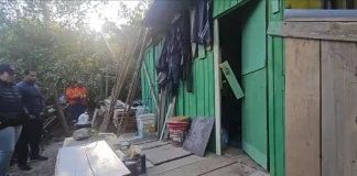Casa de madeira verde sendo demolida