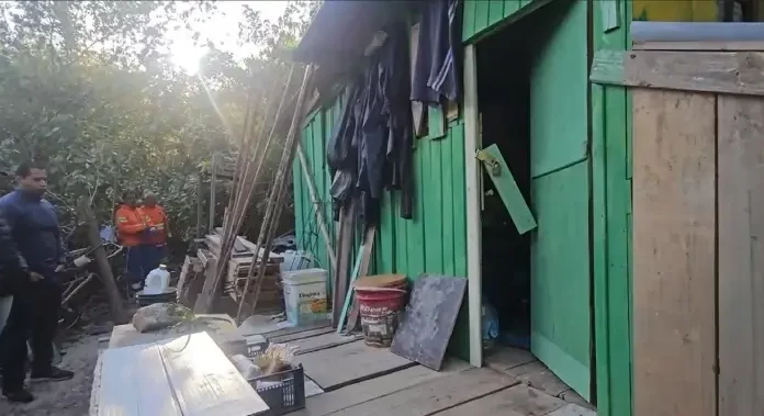Casa de madeira verde sendo demolida