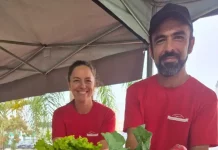 Casal de agricultores usando camisetas vermelhas atende clientes atrás do balcão da feira orgânica em São José. Na frente, há uma variedade de produtos frescos e naturais, como alface, repolho roxo, repolho verde, cenoura, batata-doce, rabanete e banana, destacando a diversidade da agricultura familiar local.