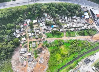 Vista aérea de área de preservação nos Ingleses, em Florianópolis, onde caminhões despejavam entulho de forma irregular.