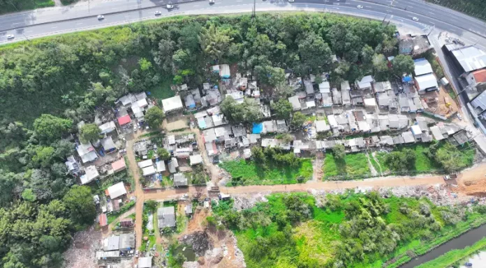 Vista aérea de área de preservação nos Ingleses, em Florianópolis, onde caminhões despejavam entulho de forma irregular.