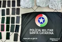 Celulares furtados durante show na Capital, apreendidos pela polícia e exibidos sobre uma superfície.