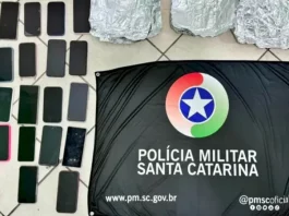 Celulares furtados durante show na Capital, apreendidos pela polícia e exibidos sobre uma superfície.