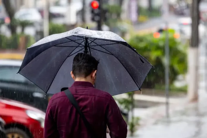 Homem caminhando na chuva com guarda-chuva, representando o início da primavera com aumento das chuvas em Santa Catarina