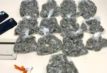 drogas apreendidas pela PMSC durante abordagem a casl