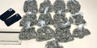 drogas apreendidas pela PMSC durante abordagem a casl