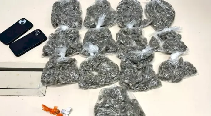 drogas apreendidas pela PMSC durante abordagem a casl