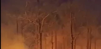 Bombeiros apagando o incêndio em vegetação na Praia do Sonho