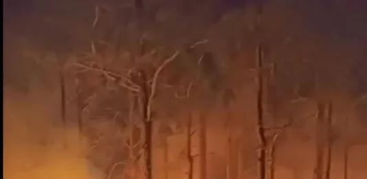 Bombeiros apagando o incêndio em vegetação na Praia do Sonho