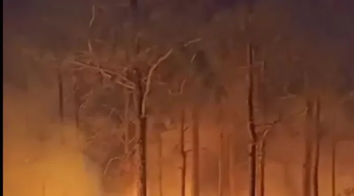 Bombeiros apagando o incêndio em vegetação na Praia do Sonho