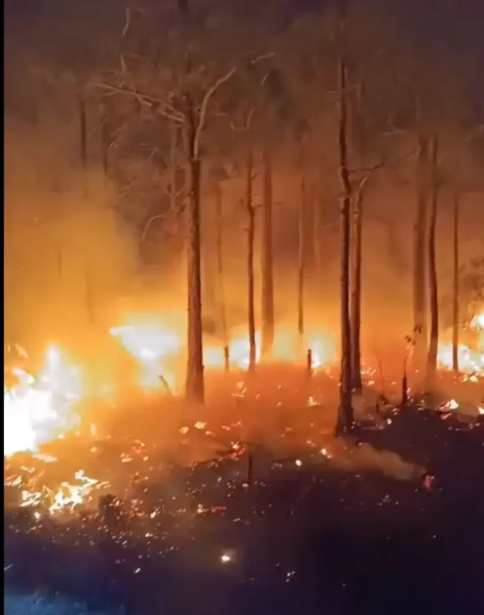 Bombeiros apagando o incêndio em vegetação na Praia do Sonho