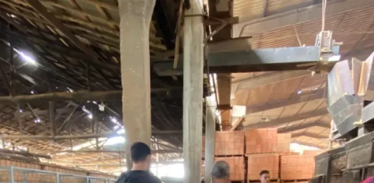 Policiais civis observam a queima das drogas durante ação de incineração em Camboriú.