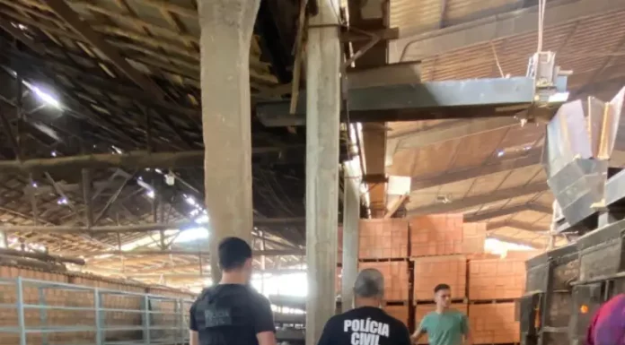 Policiais civis observam a queima das drogas durante ação de incineração em Camboriú.