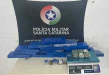 Foto mostra tabletes de maconha apreendidos pelo Bope em operação no município de Palhoça.