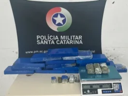 Foto mostra tabletes de maconha apreendidos pelo Bope em operação no município de Palhoça.