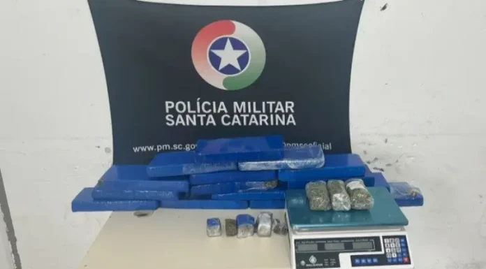 Foto mostra tabletes de maconha apreendidos pelo Bope em operação no município de Palhoça.