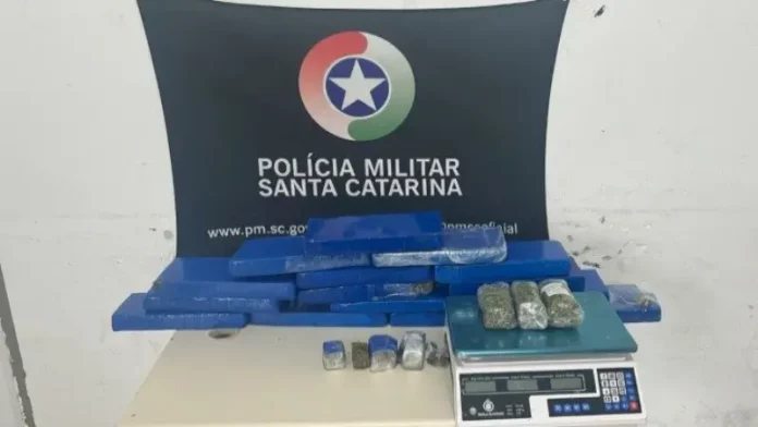 Foto mostra tabletes de maconha apreendidos pelo Bope em operação no município de Palhoça.
